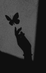 ∞≫ও- Elly's Closet꙳