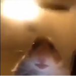 disco's pit of hell