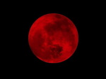 Bloodmoon Fyn