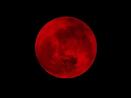 Bloodmoon Fyn Roblox group icon