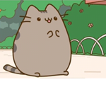 Luv cats