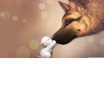 dogs for life/