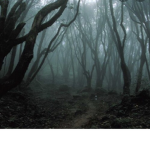 Graveyard of Lost Souls