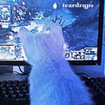 teardrqps
