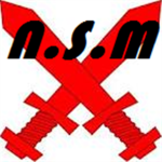 Ninja Sword Masters