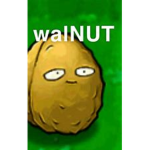 Walnut Studios!