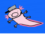 Funny salamanders