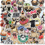 Pug team Squad