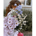 bellissima x