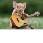 The Piggy Herd