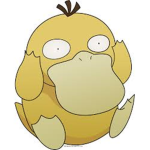 Psyduck Enthusiasts