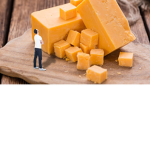 The Cheesiest Studios