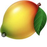 THE ITALIAN FRUITS