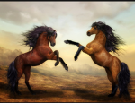 Horse’s RULE!