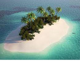 ☀️Sunny Island☀️