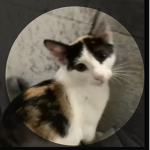 Maira and Lisa please join my group