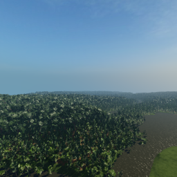 Zanzibar/ Fort Ranch