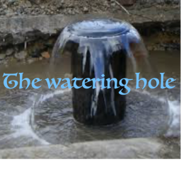 The-watering-hole