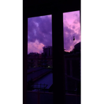 Sxd Vxbes.