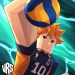 Volleyball: Rising Stars icon