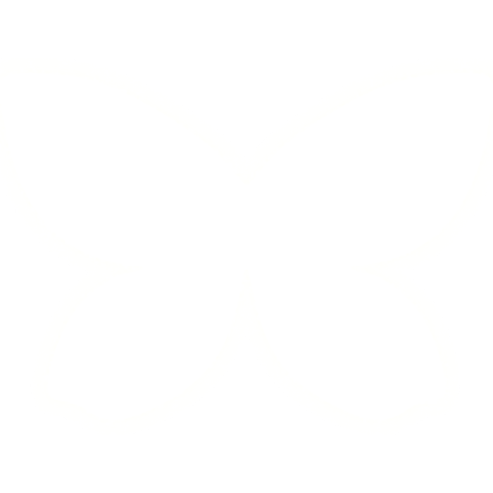 White Fairy Wings