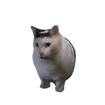 Huh Cat Suit