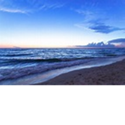 Tycoon sea