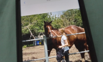 Maja und ihre videos