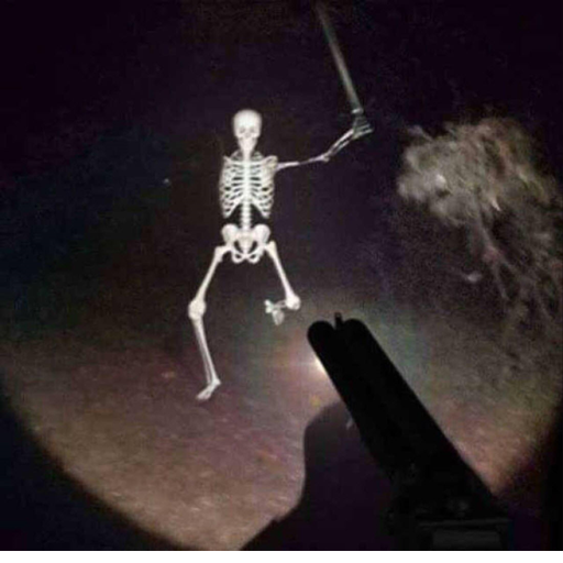 shooting skeletons simulation