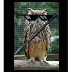 Birds With Bazookas