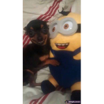 Depresseds0fties