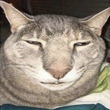cat Roblox decal