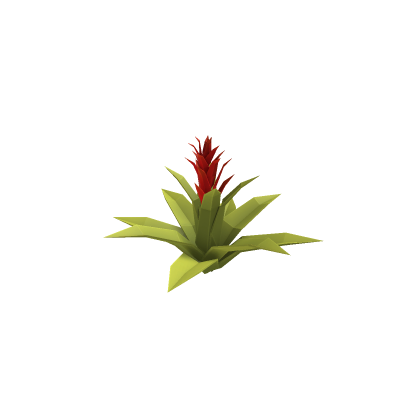 Bromeliad flower Low-Poly