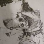 skull doggos ⋆.