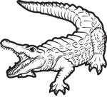 Retro Gators