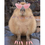CapybaraFunny