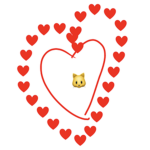The cat care