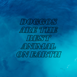 Whats on this Private doggo island?
