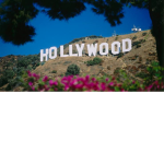 HollyWood FAn