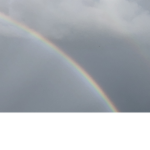The rainbows make u happy