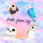 Owls gaming
