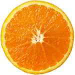 Artic's family