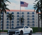 Southwest Florida fans