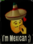 THE MEXICAN GUYS GROUP