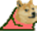 THE DOGE BOI