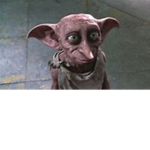 dobby.fan.club