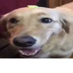 The Non-Boomer