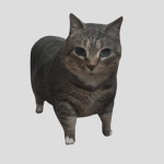 lowcatgroup