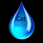 Catwater main group