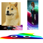 switch boiz